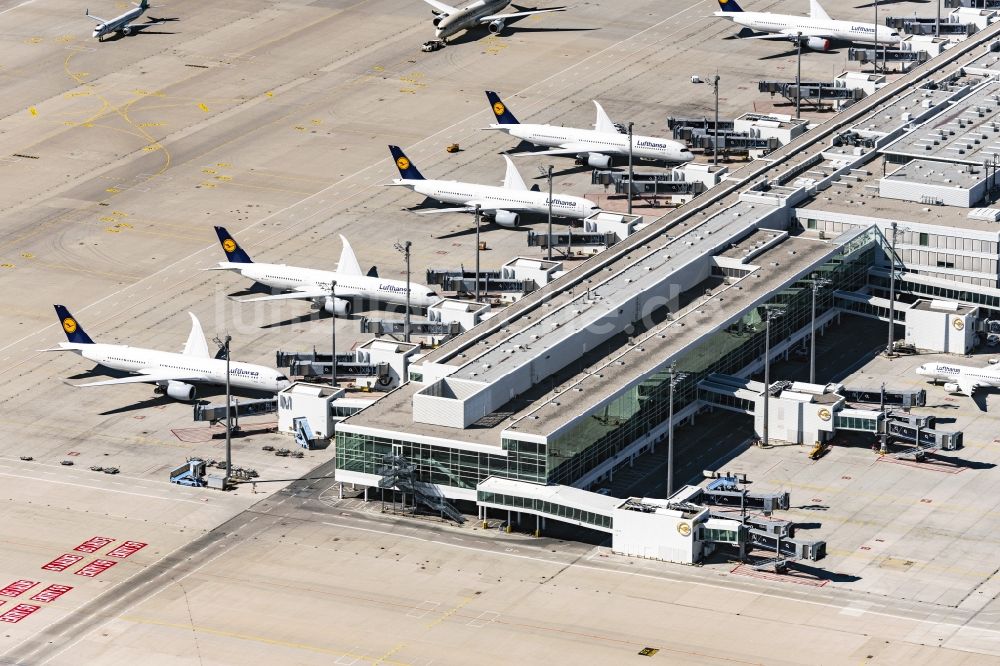 München-Flughafen aus der Vogelperspektive: Abfertigungs- Gebäude des Satelliten Terminals auf dem Gelände des Flughafen in München-Flughafen im Bundesland Bayern, Deutschland