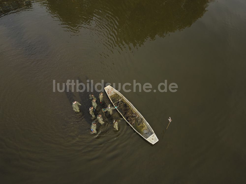 Moritzburg von oben - Abfischen im Schlossteich in Moritzburg im Bundesland Sachsen, Deutschland