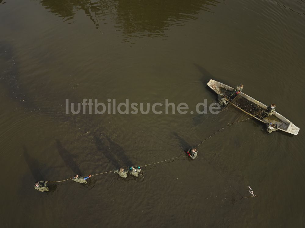 Moritzburg aus der Vogelperspektive: Abfischen im Schlossteich in Moritzburg im Bundesland Sachsen, Deutschland