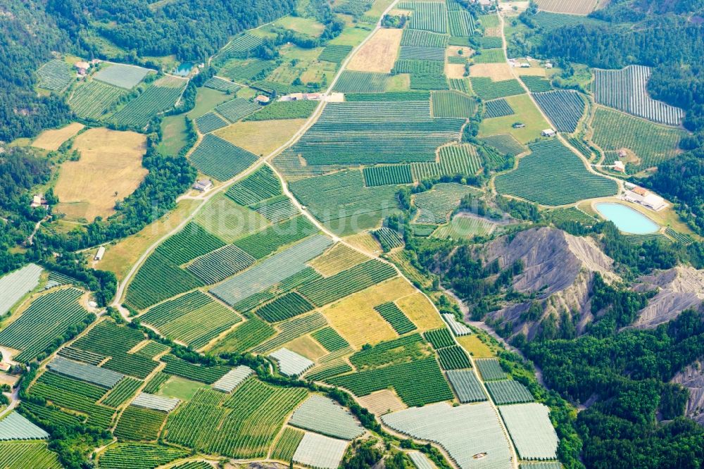 Luftaufnahme Le Caire - Abgedeckte Baumreihen einer Obstanbau- Plantage auf einem Feld in Le Caire in Provence-Alpes-Cote d'Azur, Frankreich