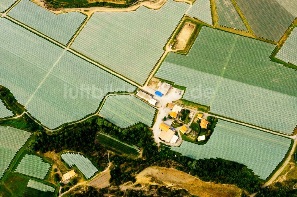 Vitrolles aus der Vogelperspektive: Abgedeckte Baumreihen einer Obstanbau- Plantage auf einem Feld in Vitrolles in Provence-Alpes-Cote d'Azur, Frankreich