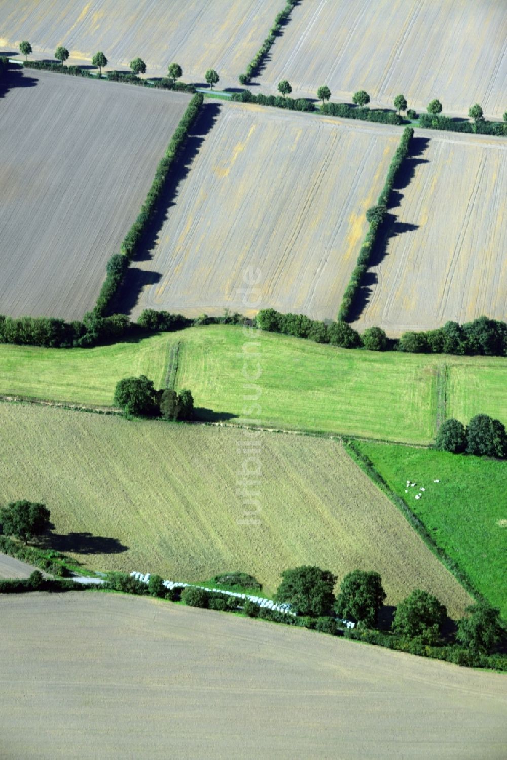 Harmsdorf von oben - Abgeerntete Feldlandschafts- Strukturen bei Harmsdorf im Bundesland Schleswig-Holstein