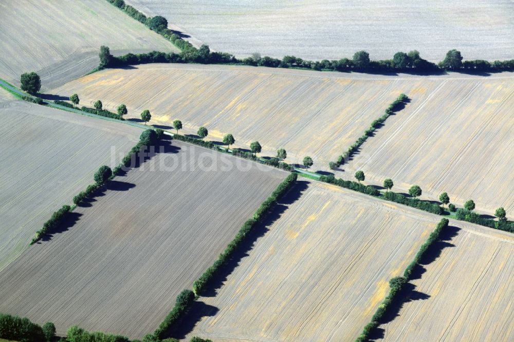 Harmsdorf aus der Vogelperspektive: Abgeerntete Feldlandschafts- Strukturen bei Harmsdorf im Bundesland Schleswig-Holstein