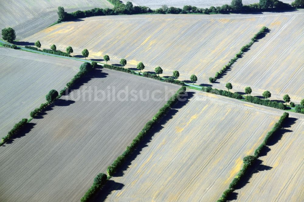 Luftbild Harmsdorf - Abgeerntete Feldlandschafts- Strukturen bei Harmsdorf im Bundesland Schleswig-Holstein