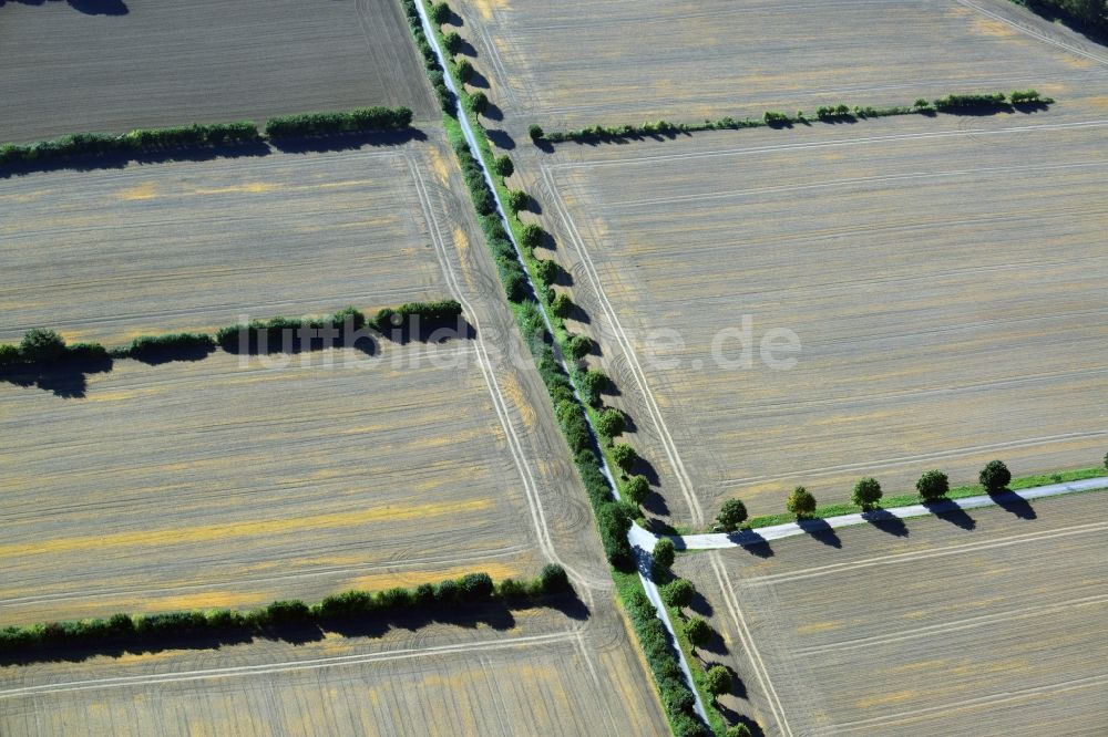 Harmsdorf aus der Vogelperspektive: Abgeerntete Feldlandschafts- Strukturen bei Harmsdorf im Bundesland Schleswig-Holstein