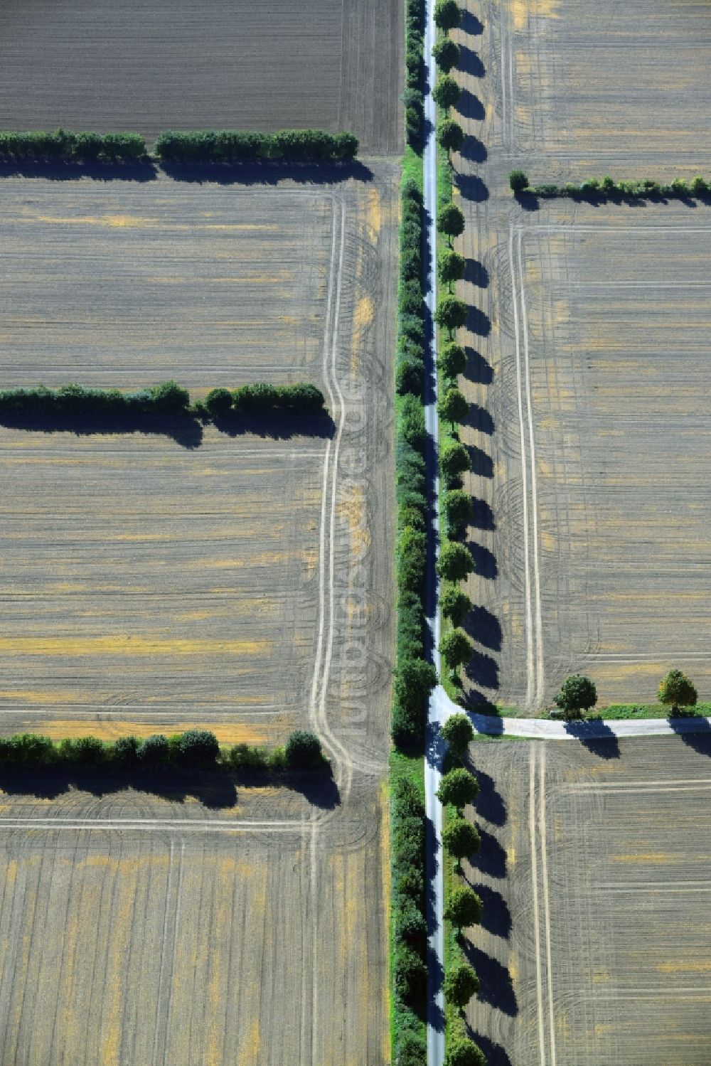 Luftaufnahme Harmsdorf - Abgeerntete Feldlandschafts- Strukturen bei Harmsdorf im Bundesland Schleswig-Holstein