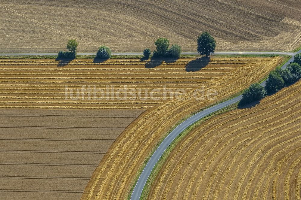 Luftbild Eineckerholsen - Abgeerntete Kornfeld-Strukturen auf einem Getreidefeld in Eineckerholsen im Bundesland Nordrhein-Westfalen, Deutschland