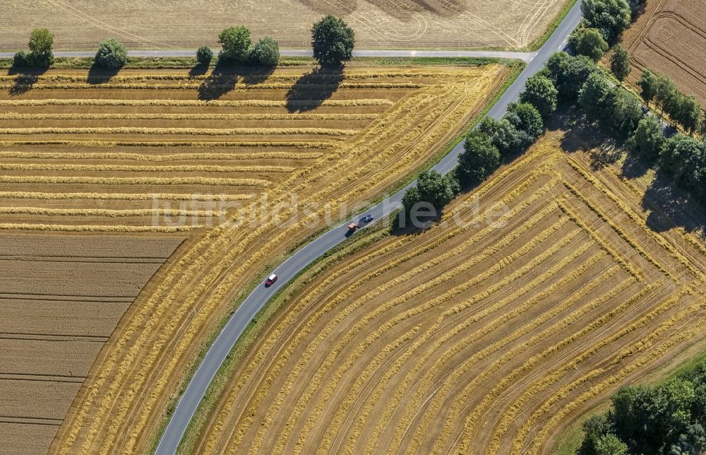 Eineckerholsen von oben - Abgeerntete Kornfeld-Strukturen auf einem Getreidefeld in Eineckerholsen im Bundesland Nordrhein-Westfalen, Deutschland