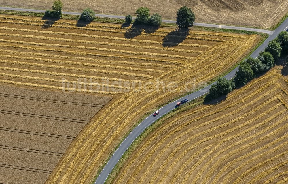 Luftaufnahme Eineckerholsen - Abgeerntete Kornfeld-Strukturen auf einem Getreidefeld in Eineckerholsen im Bundesland Nordrhein-Westfalen, Deutschland