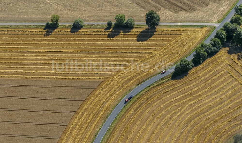 Eineckerholsen aus der Vogelperspektive: Abgeerntete Kornfeld-Strukturen auf einem Getreidefeld in Eineckerholsen im Bundesland Nordrhein-Westfalen, Deutschland