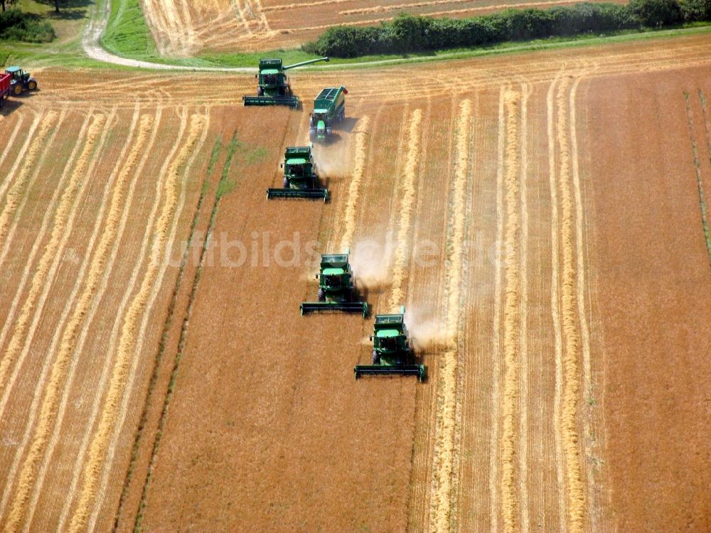 Luftbild Elxleben - Abgeerntete Kornfeld-Strukturen auf einem Getreidefeld in Elxleben im Bundesland Thüringen