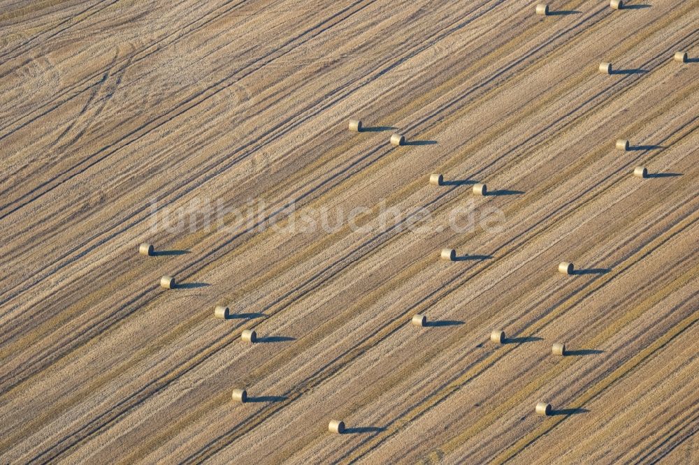 Lünen aus der Vogelperspektive: Abgeerntete Kornfeld-Strukturen auf einem Getreidefeld in Lünen im Bundesland Nordrhein-Westfalen, Deutschland