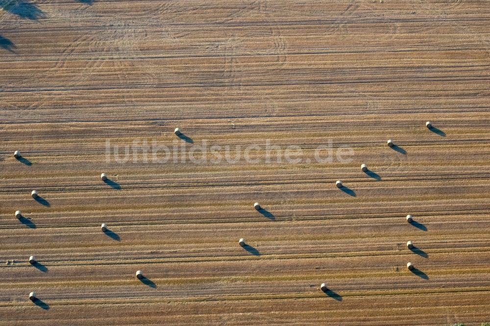 Lünen aus der Vogelperspektive: Abgeerntete Kornfeld-Strukturen auf einem Getreidefeld in Lünen im Bundesland Nordrhein-Westfalen, Deutschland