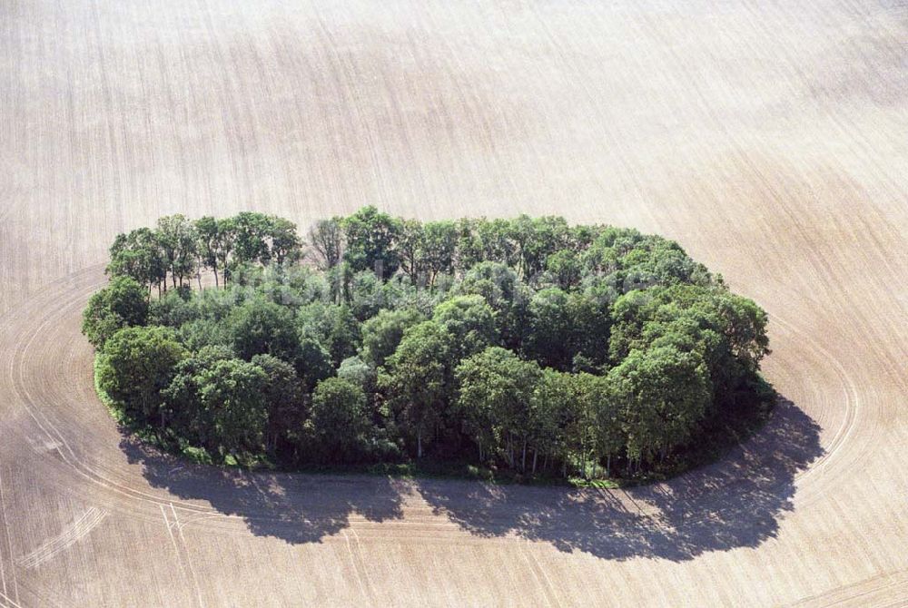 Rosenow von oben - abgeerntete und umgepflügte Felder bei Rosenow