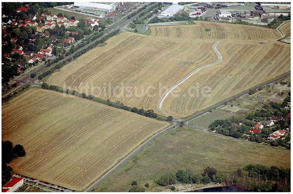 Luftaufnahme Berlin-Biesdorf Süd - abgeerntetet Kornfeld