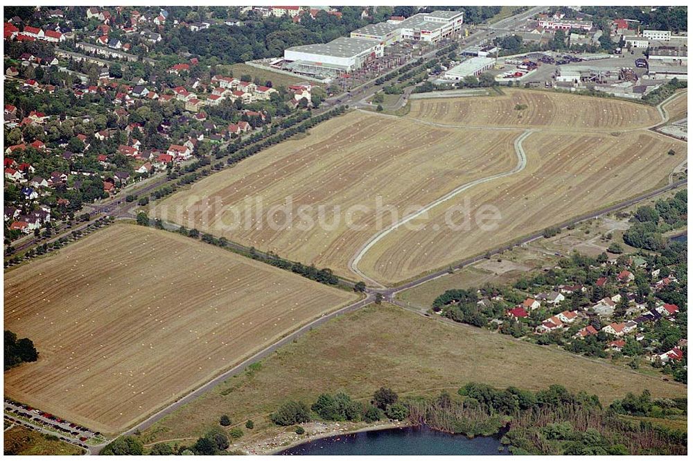 Berlin-Biesdorf Süd von oben - abgeerntetet Kornfeld