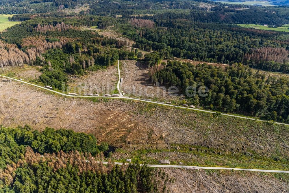 Luftaufnahme Hemmecker Bruch - Abgestorbene Baumspitzen in einem Waldgebiet in Hemmecker Bruch im Bundesland Nordrhein-Westfalen, Deutschland