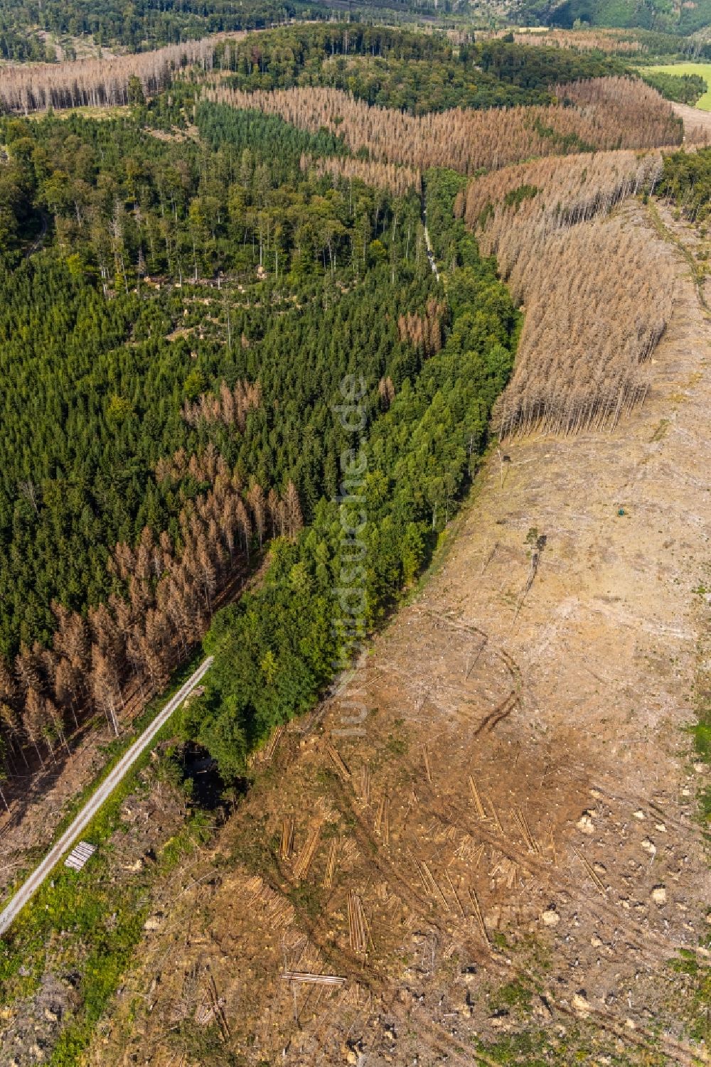 Luftbild Hemmecker Bruch - Abgestorbene Baumspitzen in einem Waldgebiet in Hemmecker Bruch im Bundesland Nordrhein-Westfalen, Deutschland