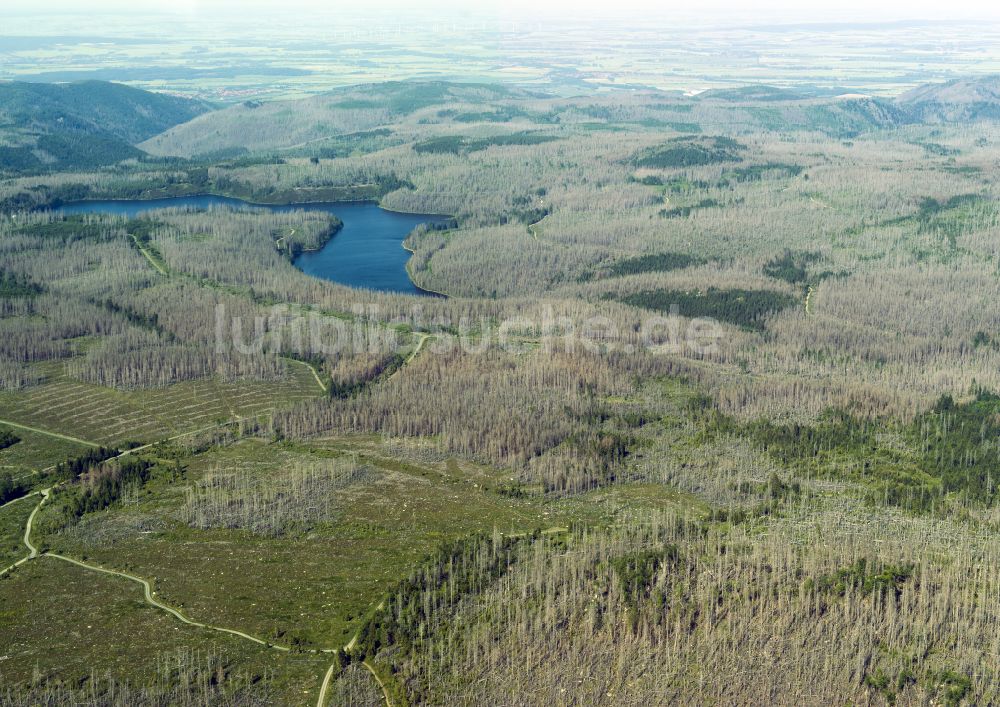 Luftbild Osterode am Harz - Abgestorbene Baumspitzen in einem Waldgebiet in Osterode am Harz im Bundesland Niedersachsen, Deutschland