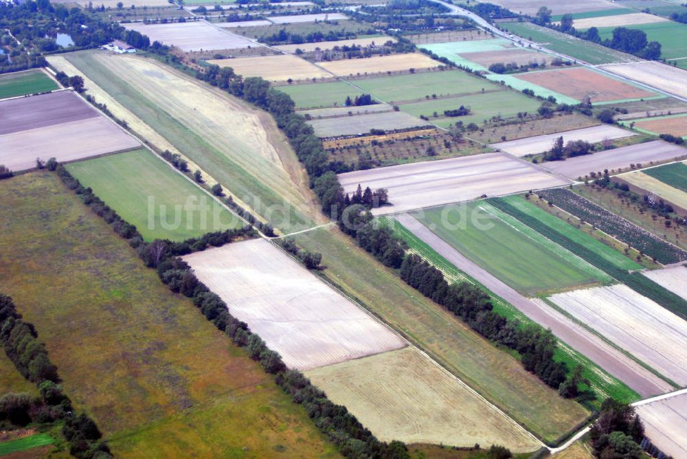 Luftaufnahme Böhl-Iggelheim - Ackerlandschaft bei Böhl-Iggelheim