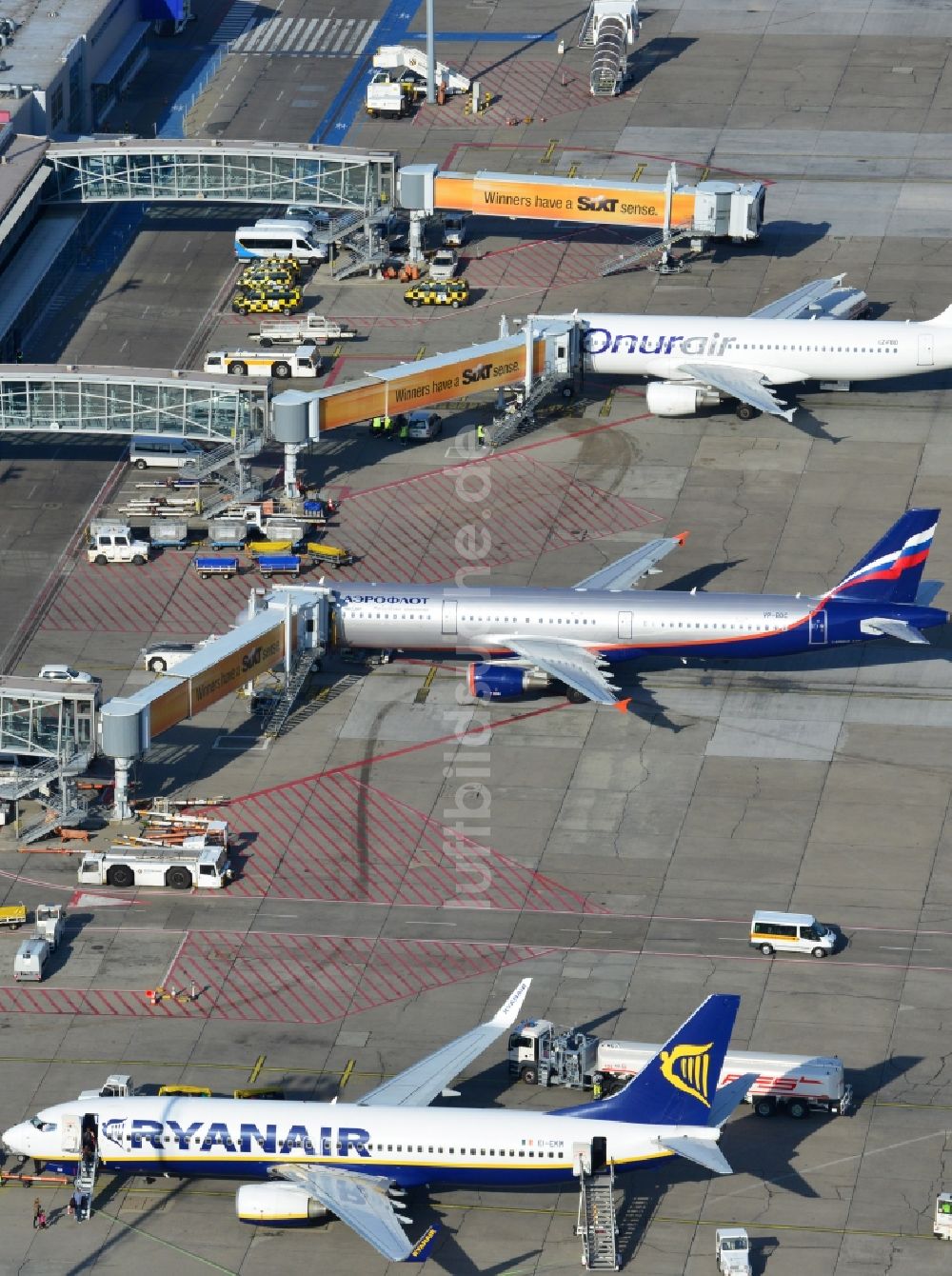 Luftbild Schönefeld - Airbus - Flugzeuge am Passagier- Terminal des Flughafens Berlin - Schönefeld im Bundesland Brandenburg