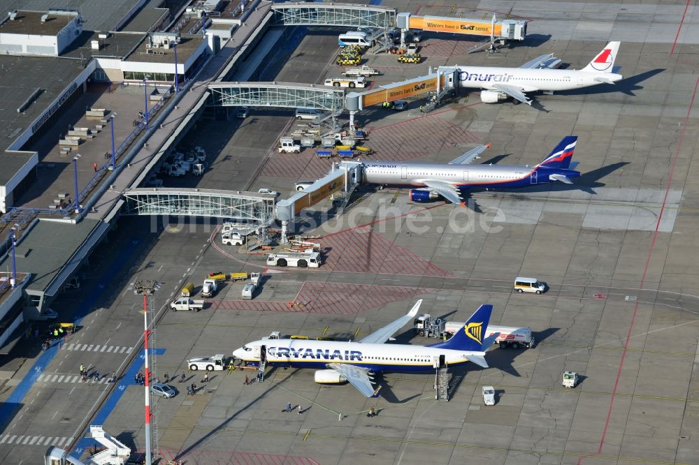 Luftaufnahme Schönefeld - Airbus - Flugzeuge am Passagier- Terminal des Flughafens Berlin - Schönefeld im Bundesland Brandenburg