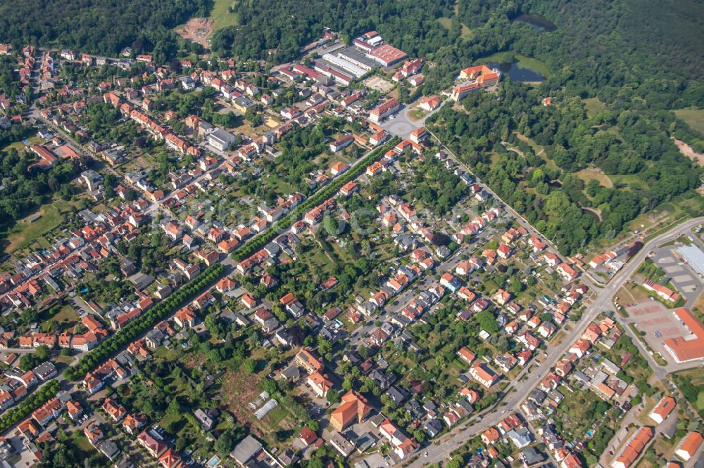 Ballenstedt aus der Vogelperspektive: Allee zum Schloß in Ballenstedt im Bundesland Sachsen-Anhalt, Deutschland