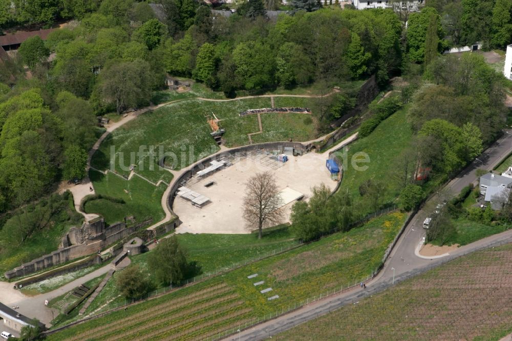 Trier aus der Vogelperspektive: Amphitheater in Trier im Bundesland Rheinland-Pfalz