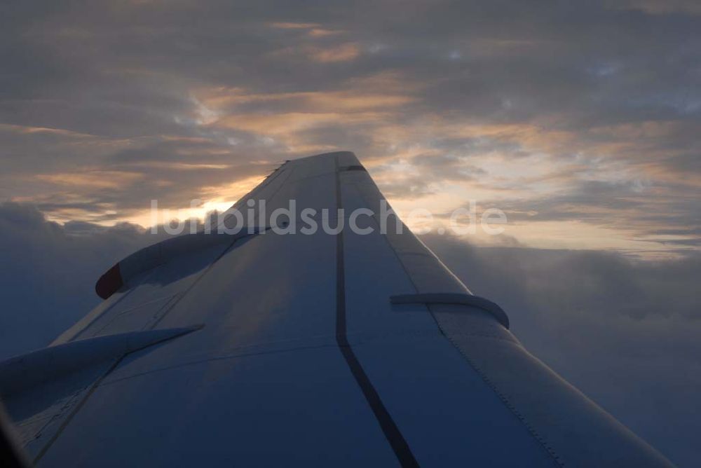 Amsterdam von oben - Amsterdam 04.06.2006 Blick auf Cumuluswolkenschicht über Amsterdam vor dem Landeanflug in einem Airbus A310