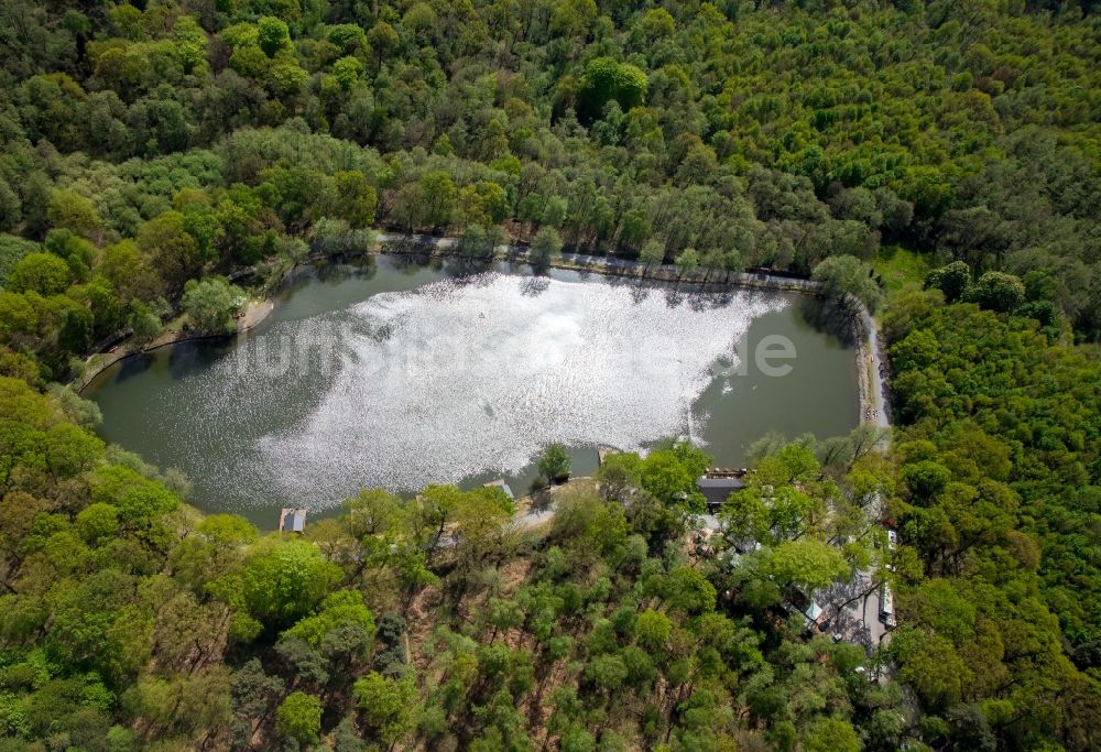 Bottrop von oben - Angelpark Zur Grafenmühle im Grafenwald in Bottrop im Bundesland Nordrhein-Westfalen, Deutschland