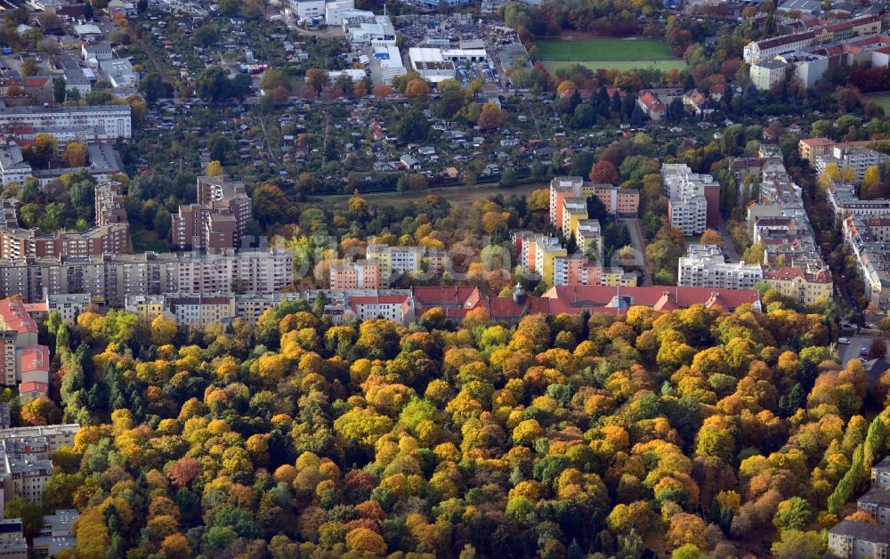 Luftbild Berlin - Ansicht auf herbstlich gefärbte Baumkronen an der Wollankstraße mit Blick auf Wohnhäuser, Gewerbeflächen und eine Gartenkolonie in Berlin - Pankow