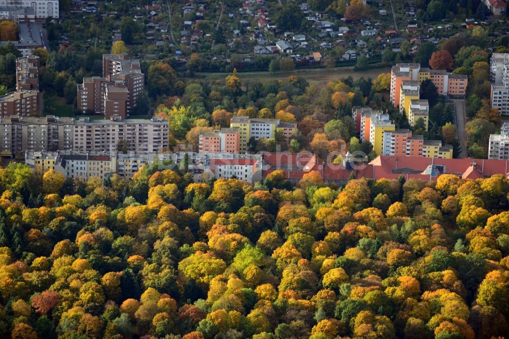 Luftaufnahme Berlin - Ansicht auf herbstlich gefärbte Baumkronen an der Wollankstraße mit Blick auf Wohnhäuser, Gewerbeflächen und eine Gartenkolonie in Berlin - Pankow