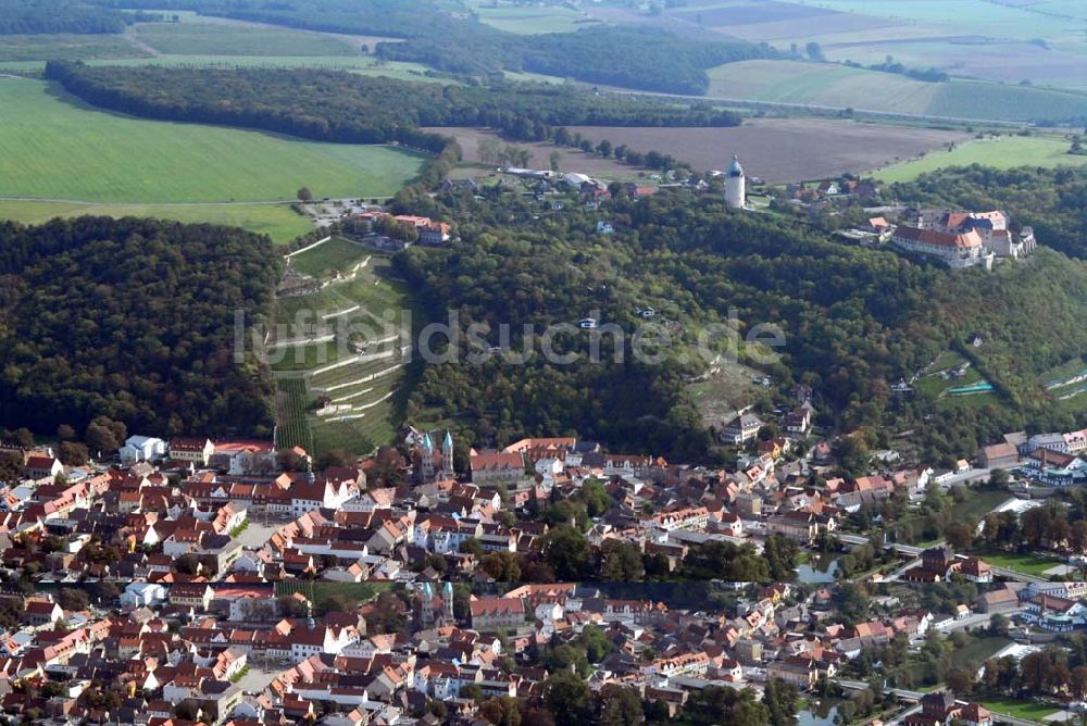 Freyburg/Unstrut von oben - Ansicht vom Winzerstädtchen Freyburg/Unstrut mit der Neuenburg