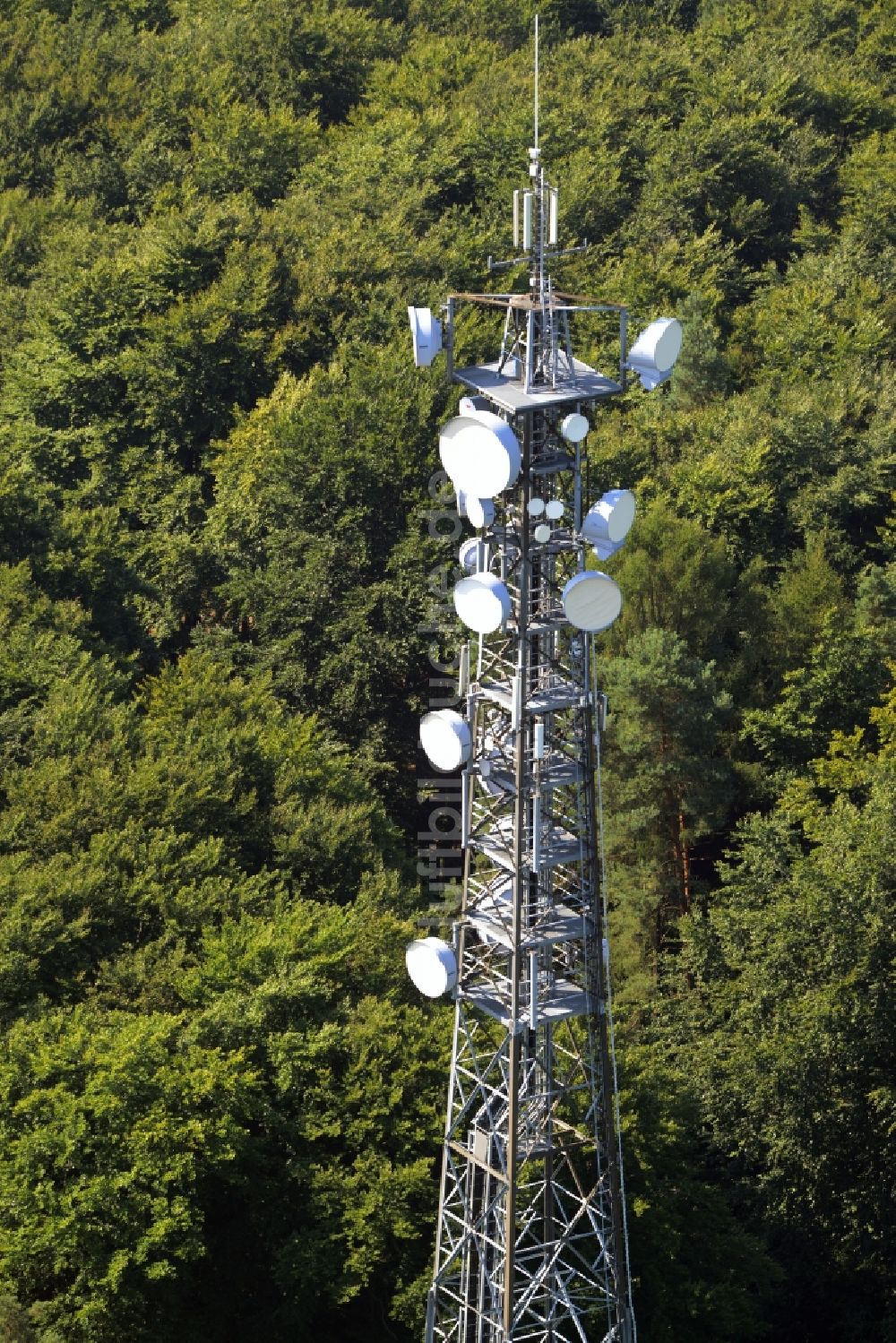 Gräfenhainichen aus der Vogelperspektive: Antennen- Sendeturm und Funkmast in Gräfenhainichen im Bundesland Sachsen-Anhalt