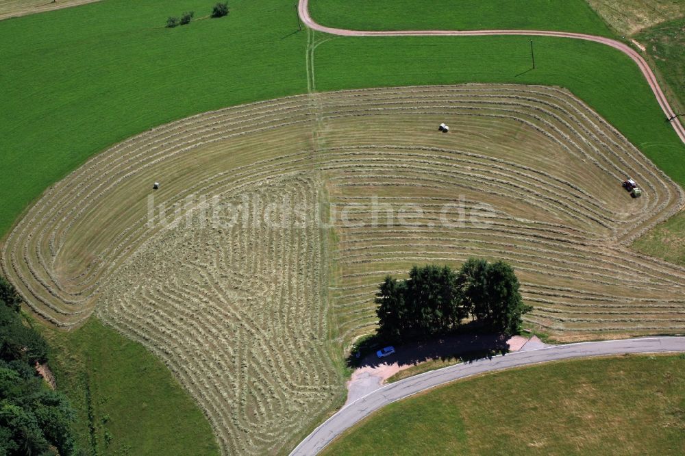 Schopfheim von oben - Arbeitseinsatz bei der Heuernte auf landwirtschaftlichen Feldern mit Linien als flüchtiges Kunstwerk im Ortsteil Schweigmatt von Schopfheim im Bundesland Baden-Württemberg, Deutschland