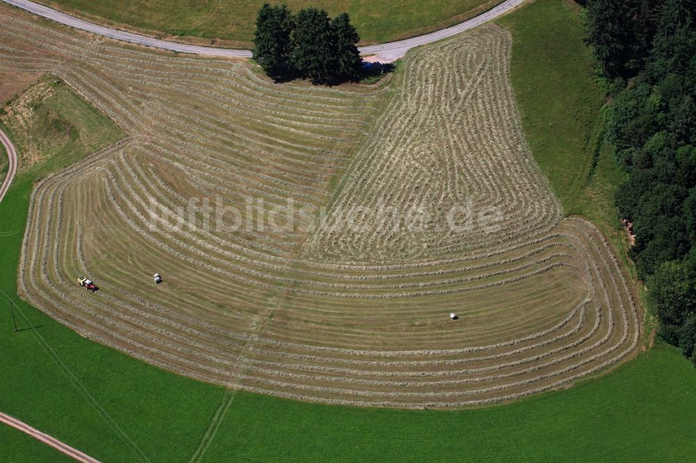 Schopfheim aus der Vogelperspektive: Arbeitseinsatz bei der Heuernte auf landwirtschaftlichen Feldern mit Linien als flüchtiges Kunstwerk im Ortsteil Schweigmatt von Schopfheim im Bundesland Baden-Württemberg, Deutschland