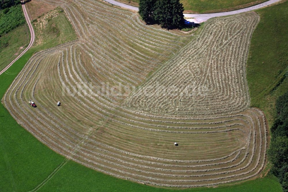 Luftbild Schopfheim - Arbeitseinsatz bei der Heuernte auf landwirtschaftlichen Feldern mit Linien als flüchtiges Kunstwerk im Ortsteil Schweigmatt von Schopfheim im Bundesland Baden-Württemberg, Deutschland