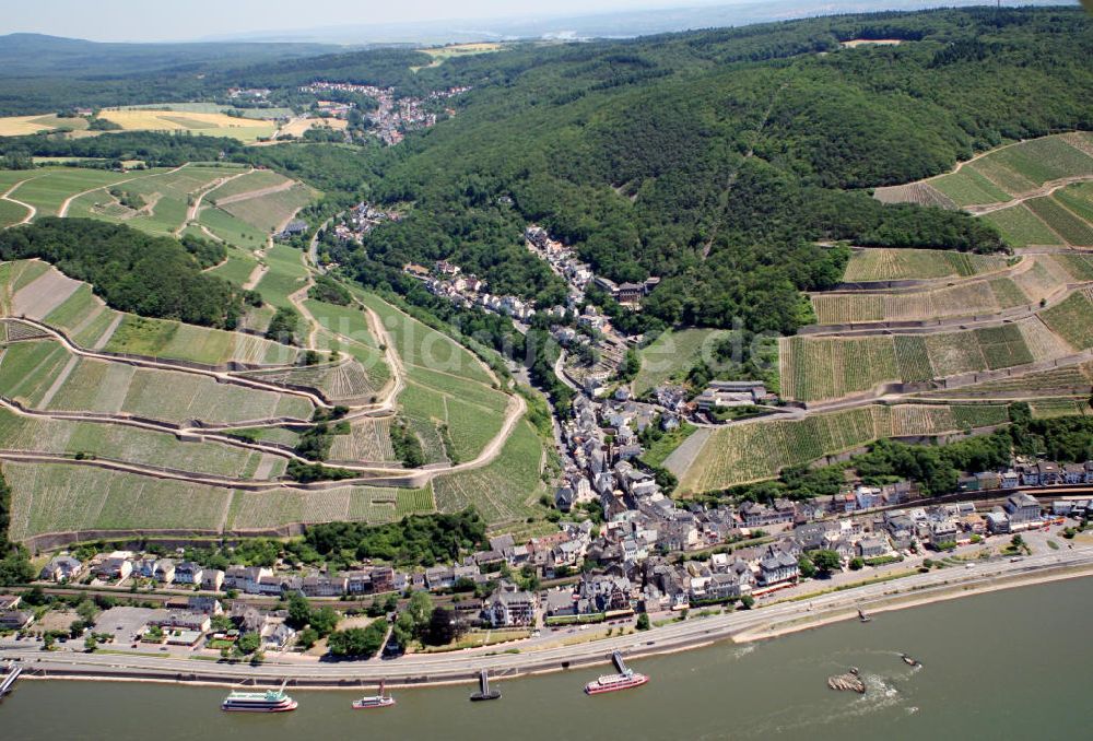 Luftaufnahme Assmannshausen - Assmannshausen Hessen