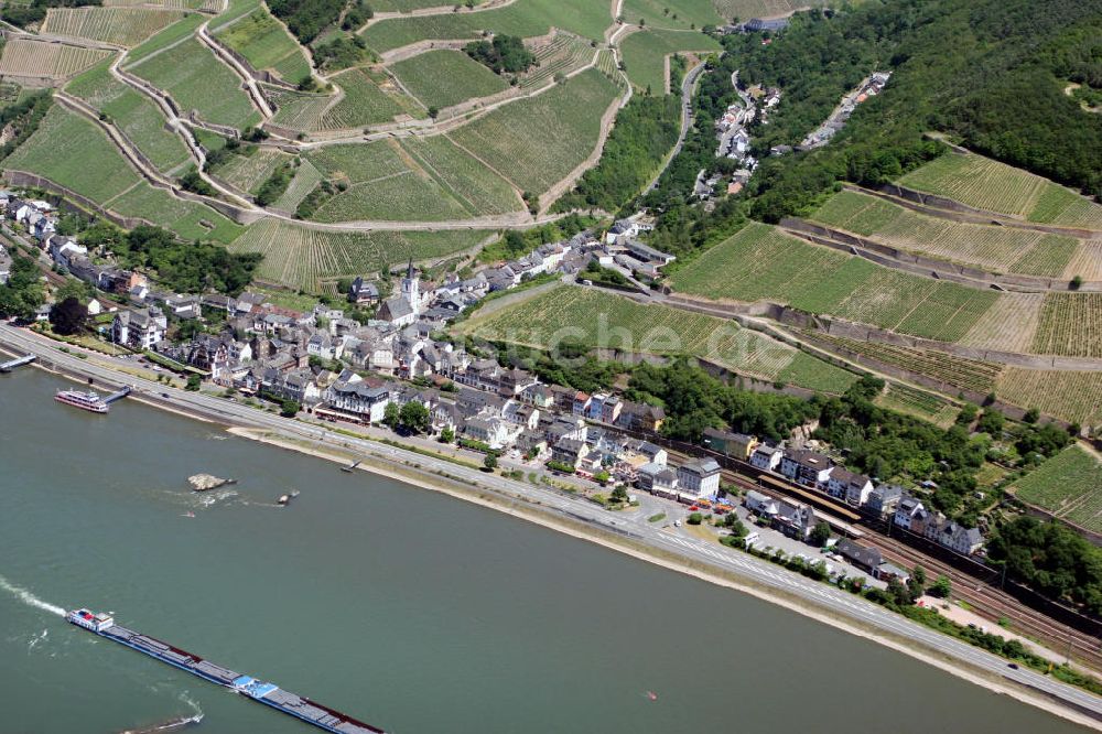 Assmannshausen aus der Vogelperspektive: Assmannshausen Hessen