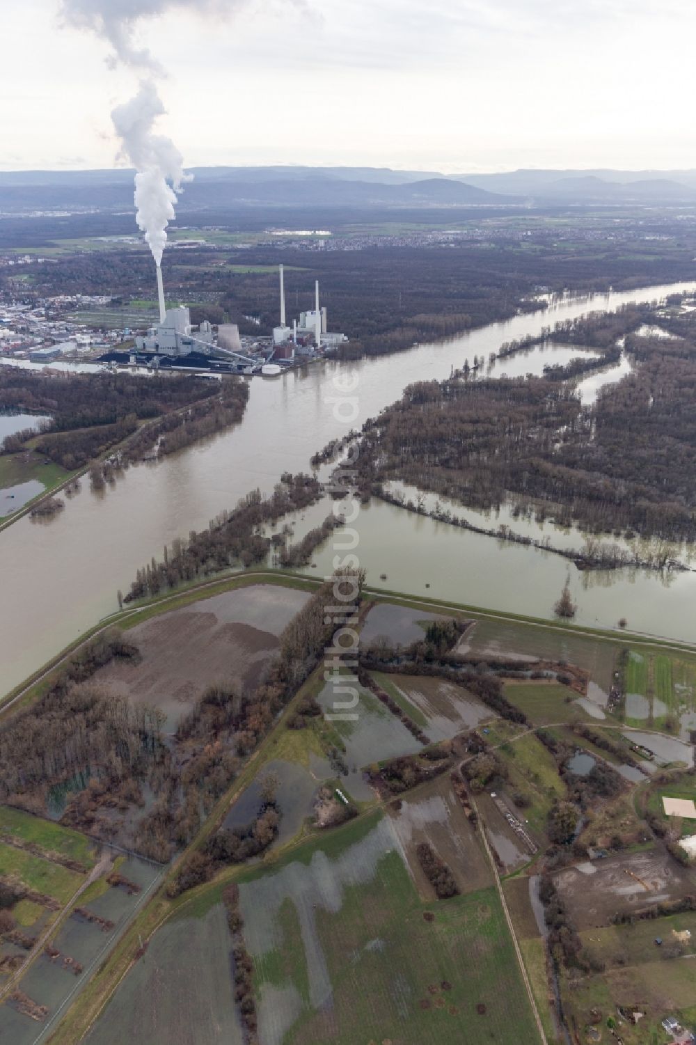 Maximiliansau von oben - Auen und- Wiesen- Landschaft am Hagenbacher Altrhein vor der Insel Nauas mit Goldgrund bei Rhein-Hochwasser in Maximiliansau im Bundesland Rheinland-Pfalz, Deutschland