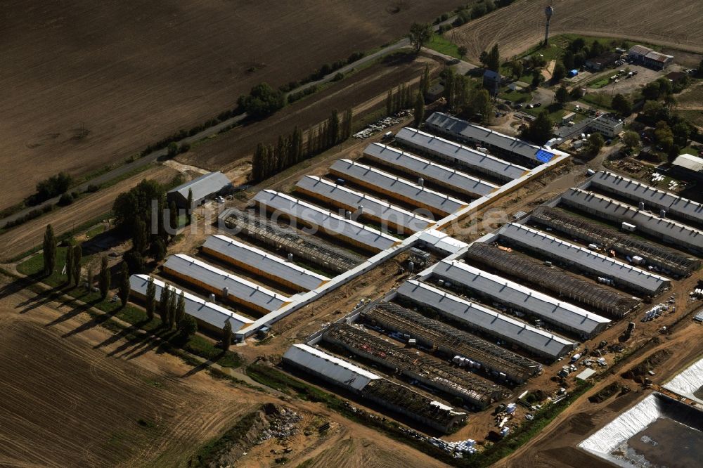 Chojna aus der Vogelperspektive: Ausbau und Dachmodernisierungsarbeiten an Gewächshausanlagen eines Landwirtschaftsbetriebes am Stadtrand in Chojna in Polen