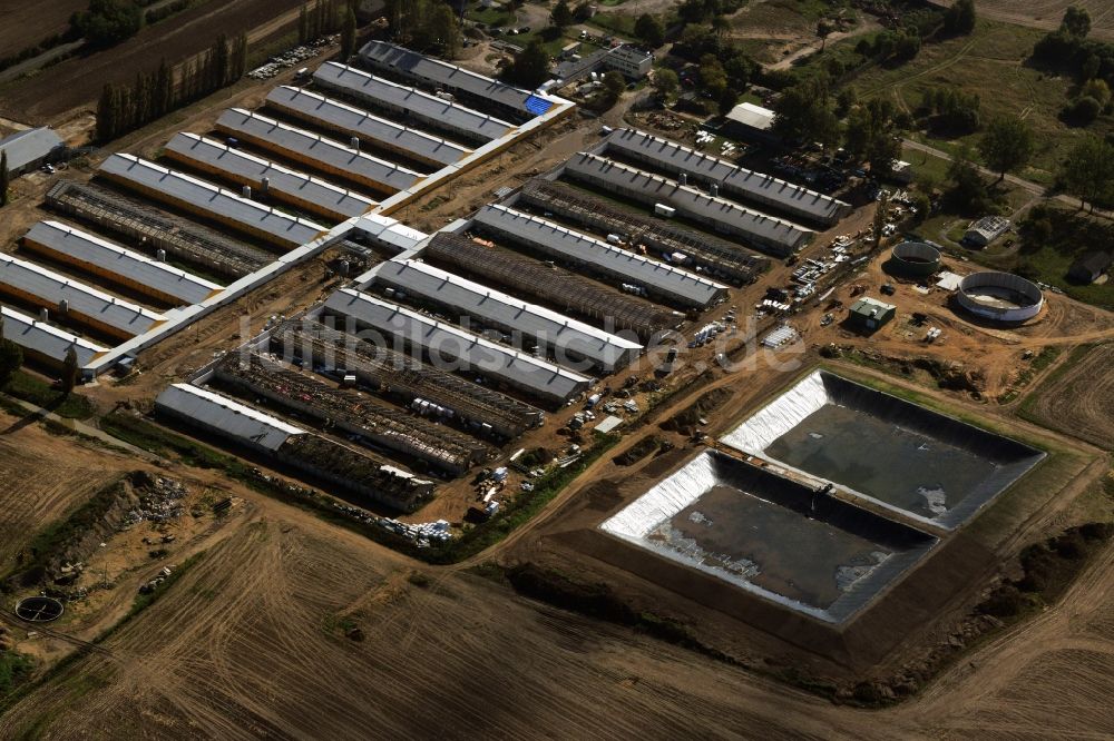 Luftbild Chojna - Ausbau und Dachmodernisierungsarbeiten an Gewächshausanlagen eines Landwirtschaftsbetriebes am Stadtrand in Chojna in Polen