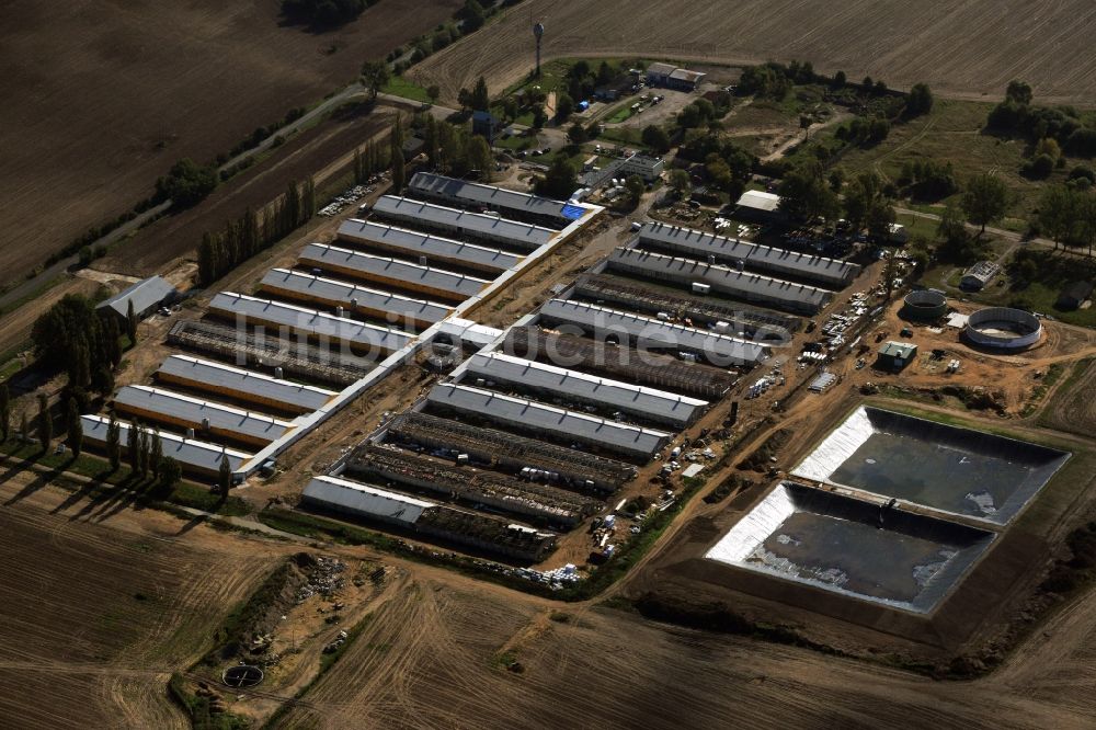 Chojna von oben - Ausbau und Dachmodernisierungsarbeiten an Gewächshausanlagen eines Landwirtschaftsbetriebes am Stadtrand in Chojna in Polen