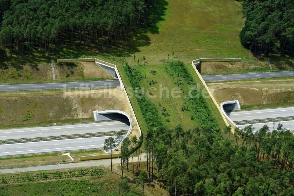 Luftbild Karstädt - Autobahn- Brückenbauwerk einer als Grünbrücke angelegten Wildbrücke - Wildwechselbrücke über die BAB A14 in Karstädt im Bundesland Brandenburg, Deutschland