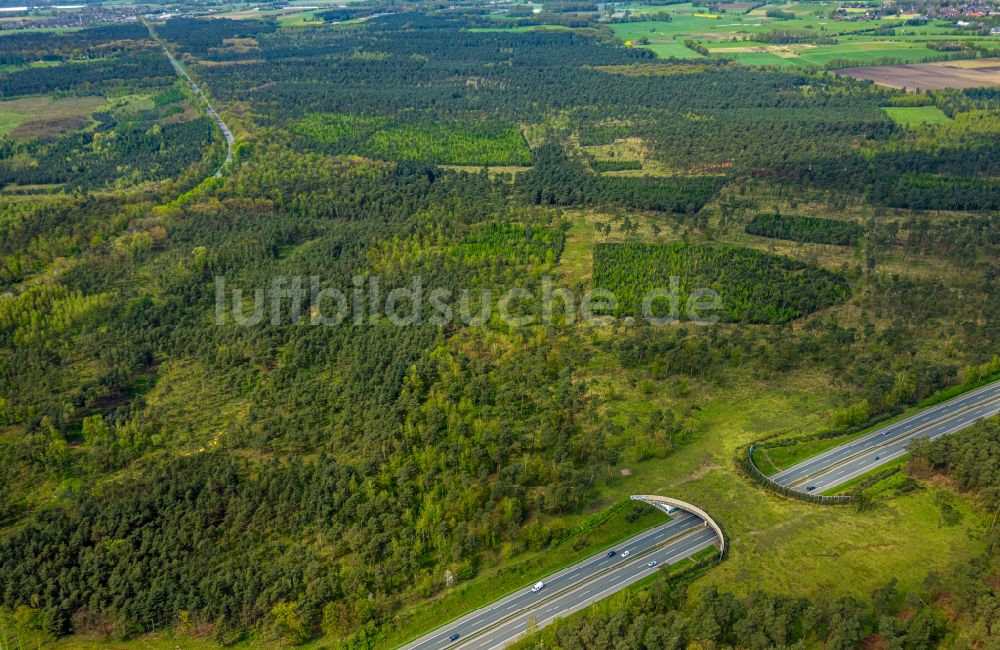 Luftaufnahme Schermbeck - Autobahn- Brückenbauwerk einer als Grünbrücke angelegten Wildbrücke - Wildwechselbrücke in Schermbeck im Bundesland Nordrhein-Westfalen, Deutschland