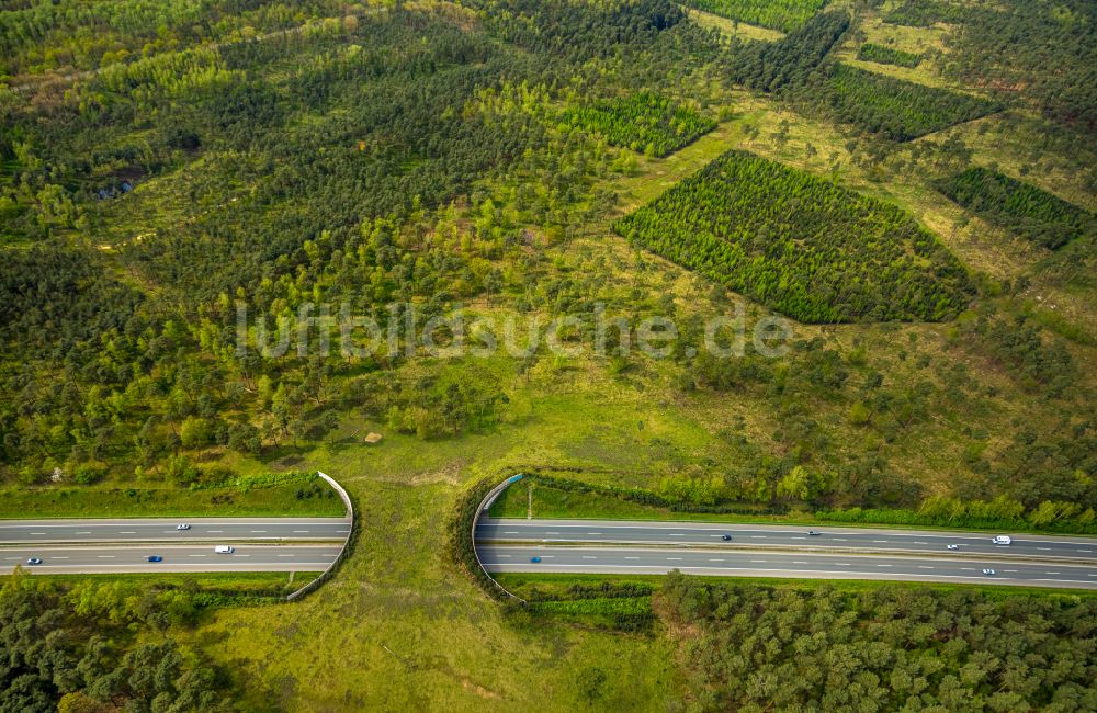 Schermbeck von oben - Autobahn- Brückenbauwerk einer als Grünbrücke angelegten Wildbrücke - Wildwechselbrücke in Schermbeck im Bundesland Nordrhein-Westfalen, Deutschland