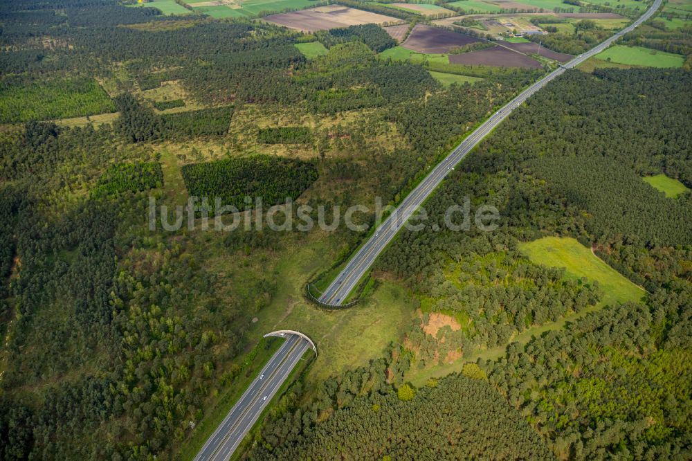 Luftaufnahme Schermbeck - Autobahn- Brückenbauwerk einer als Grünbrücke angelegten Wildbrücke - Wildwechselbrücke in Schermbeck im Bundesland Nordrhein-Westfalen, Deutschland