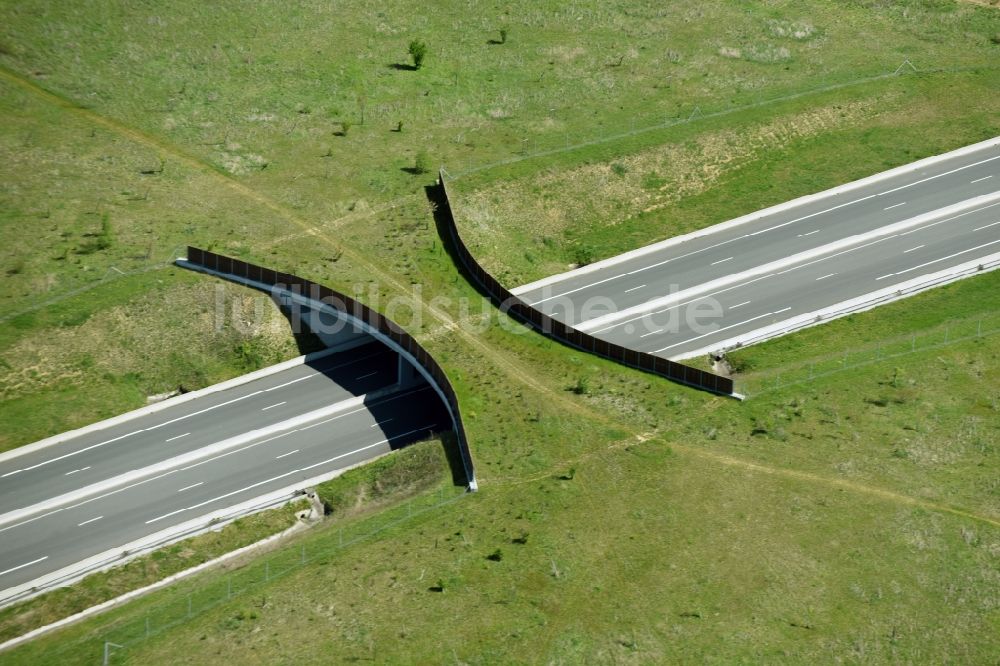 Treilles-en-Gatinais von oben - Autobahn- Brückenbauwerk einer als Grünbrücke angelegten Wildbrücke - Wildwechselbrücke der A19 - E60 in Treilles-en-Gatinais in Centre-Val de Loire, Frankreich