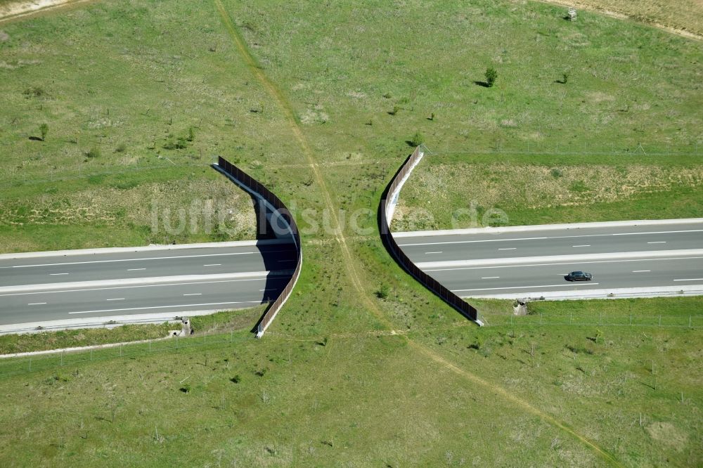 Treilles-en-Gatinais aus der Vogelperspektive: Autobahn- Brückenbauwerk einer als Grünbrücke angelegten Wildbrücke - Wildwechselbrücke der A19 - E60 in Treilles-en-Gatinais in Centre-Val de Loire, Frankreich