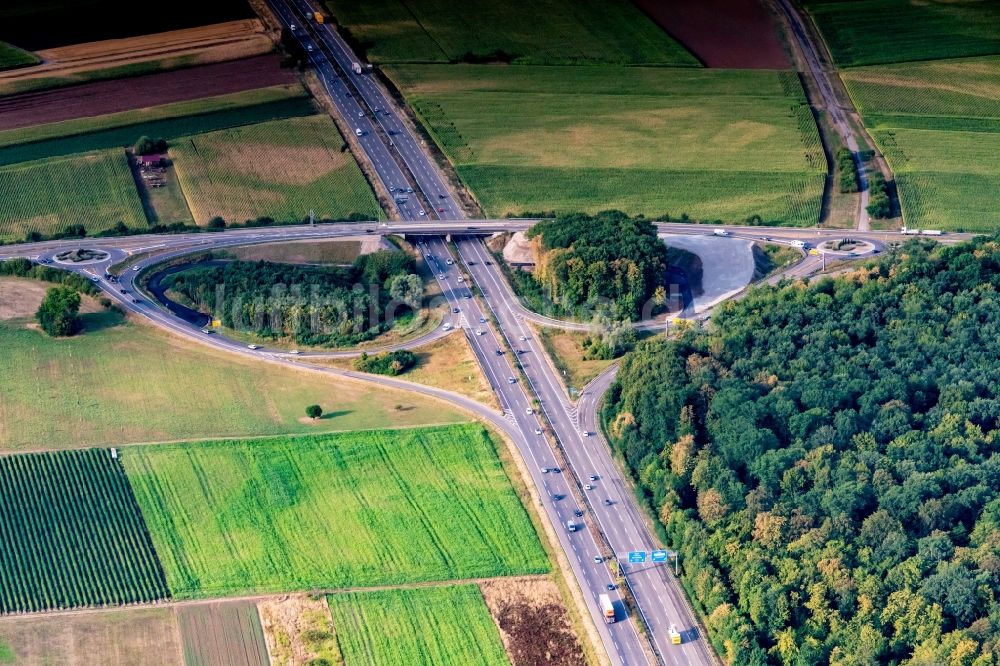 Ringsheim von oben - Autobahn- Brückenbauwerk der BAB AA5 bei Ringsheim in Ringsheim im Bundesland Baden-Württemberg, Deutschland